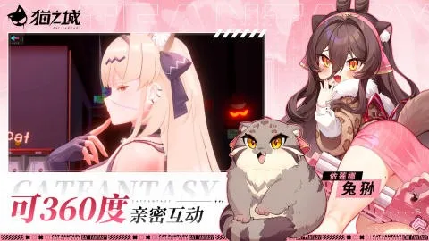 猫之城